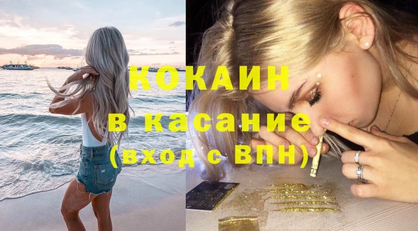мдпв Каменка