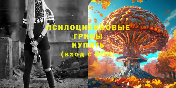мдпв Каменка