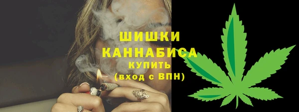 мет Инсар