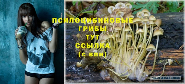 бутират Каменск-Шахтинский