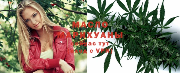 мдпв Каменка