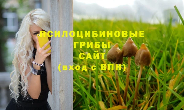 бутират Каменск-Шахтинский