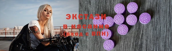 мдпв Каменка