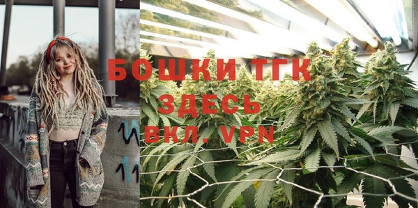 мдпв Инта