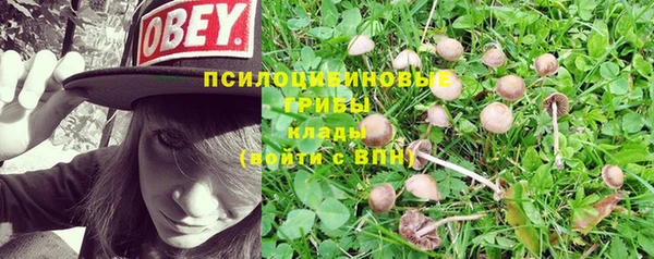 мдпв Инта