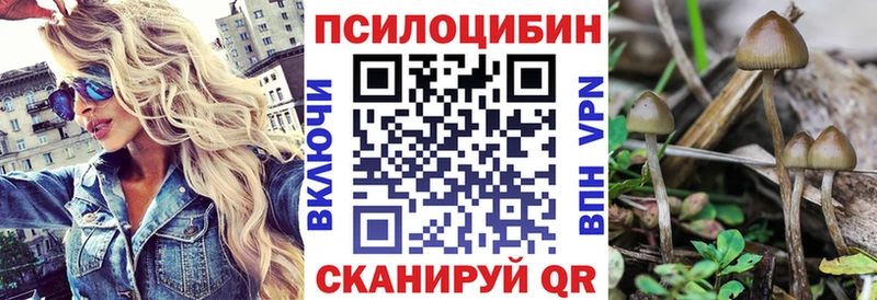Галлюциногенные грибы Psilocybe  Купить где  Белоозёрский 